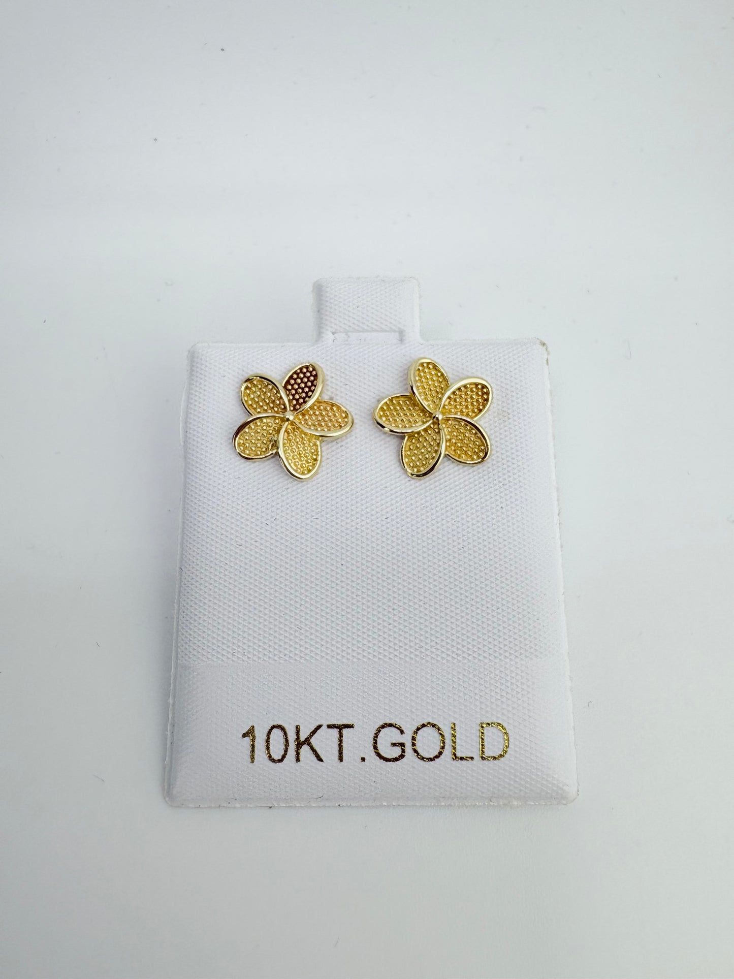 10K Gold Earrings