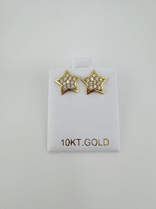 10K Earrings