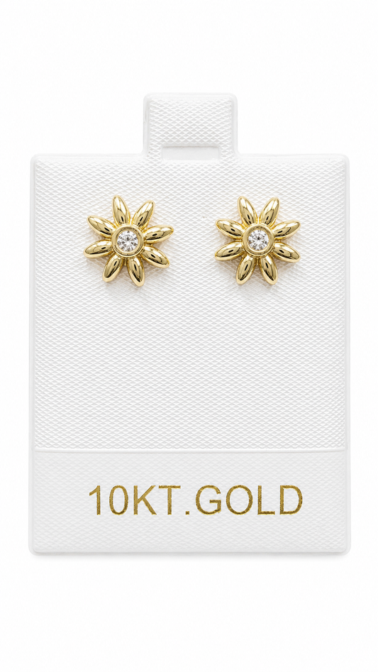 10K Gold Earrings