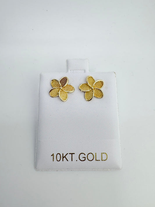 10K Gold Earrings