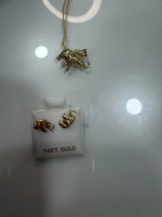 10K Gold Necklace & 14K Earrings