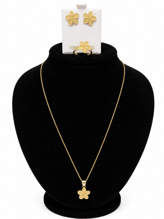10K Necklace 18IN Set