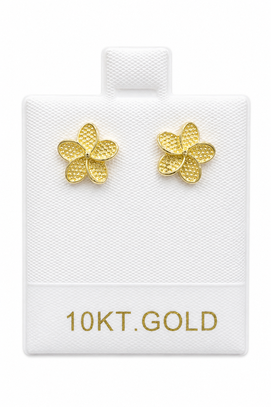 10K Gold Earrings